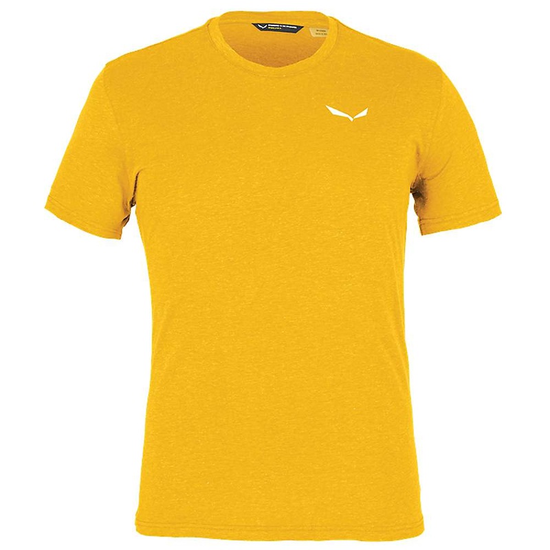 Salewa Mens Alpine Hemp Logo T-Shirt