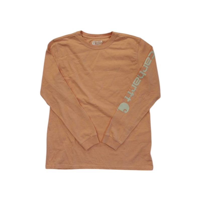 Carhartt Mens Loose Fit Heavyweight LS Outlast Graphic T-Shirt
