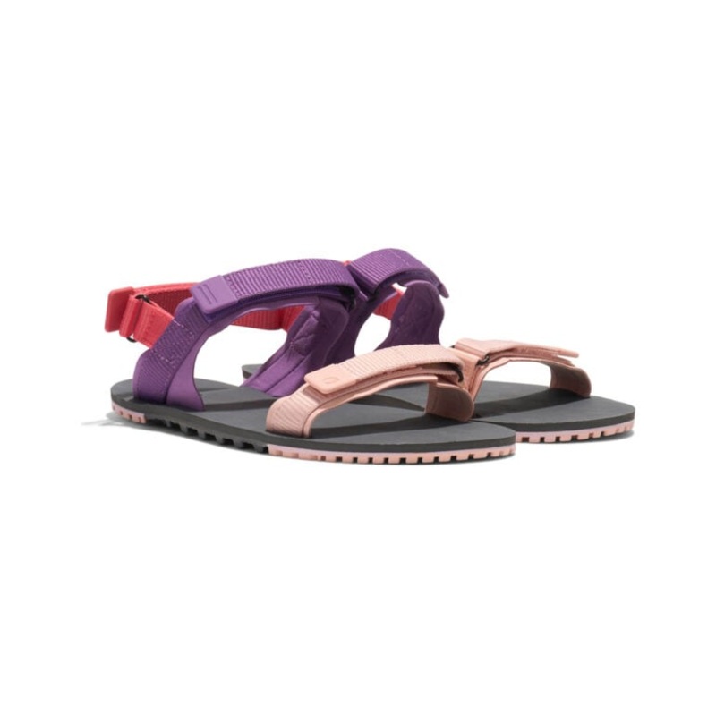 Xero Shoes D-Trail  Trail-to-Town Sandal Women's