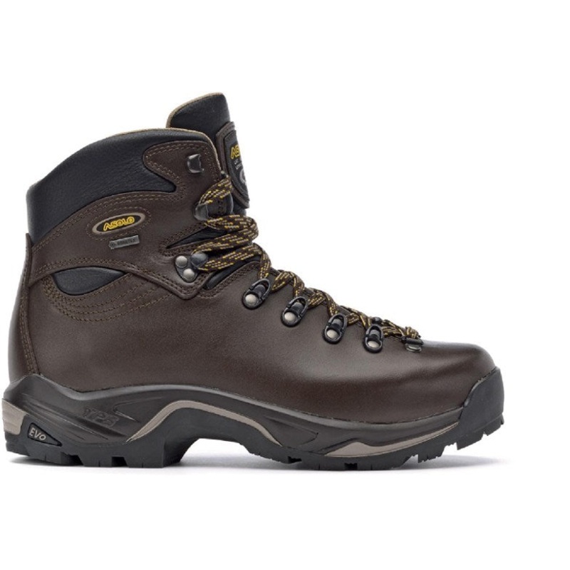 Asolo TPS 520 EVO GV GTX - Women's