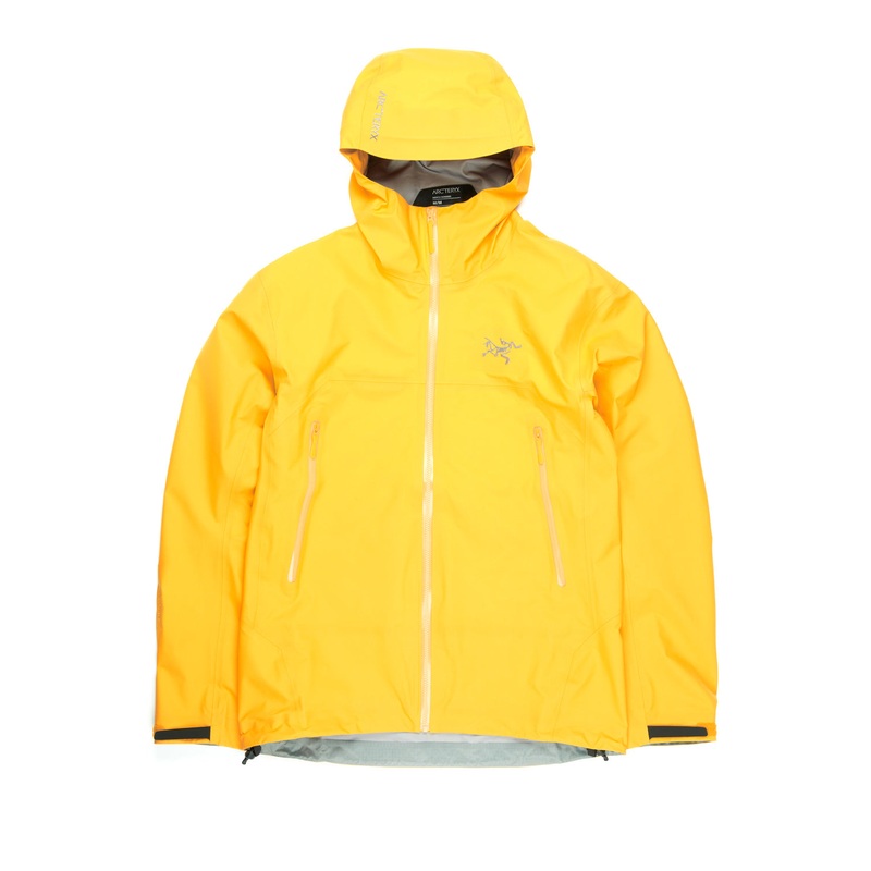 Arc'teryx Men's Beta GORE-TEX Jacket - Edziza