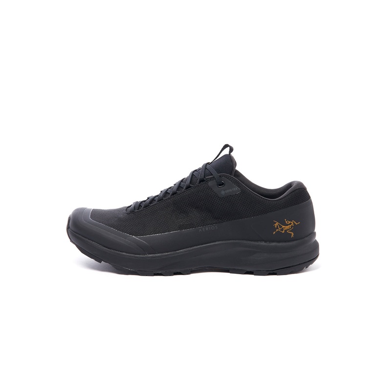 Arc'teryx Men's Aerios FL 2 GORE-TEX Shoes - Black/Black