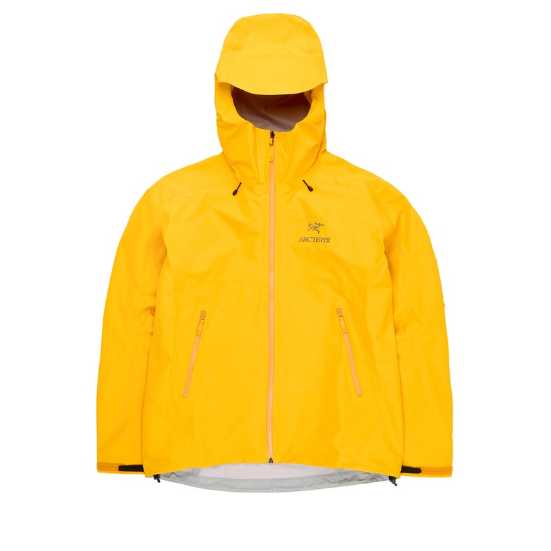 Arc'teryx Men's Beta LT Jacket - Edziza