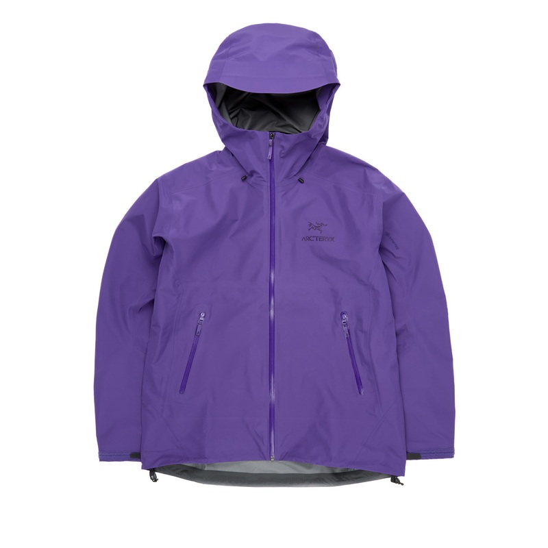 Arc'teryx Men's Beta LT Jacket - Iola